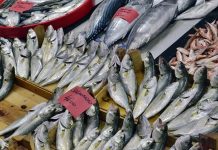 Denizlerin zenginliği olan balık ve deniz ürünleri, sağlıklı beslenmenin temel taşlarından biri olarak mutfaklarda önemli bir yer tutar. Omega-3 yağ asitleri, protein ve vitaminler açısından zengin olan bu ürünler, hem hafif hem de lezzetli yemek alternatifleri sunar. Özellikle Akdeniz ve Ege mutfağında sıkça tercih edilen balık ve deniz ürünleri, sağlıklı yaşam trendleriyle birlikte daha da popüler hale gelmiştir. Konulu bir haber görseli.