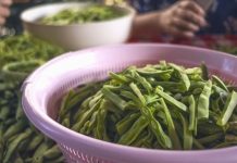 Blanşlama, özellikle sebzeleri pişirmeden önce uygulanan kısa süreli haşlama ve ardından soğuk suya alma işlemidir. Bu yöntem mutfakta hem lezzet hem de sağlık açısından önemli faydalar sunar. Sebzeler, kaynar suya kısa süre bırakıldıktan sonra hızlıca buzlu suya alınır. Böylece hem renklerini hem de tazeliklerini korurlar. Özellikle brokoli, fasulye, ıspanak ve havuç gibi sebzelerde bu yöntem yaygın olarak kullanılır. Konulu bir haber görseli.