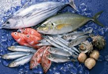 Ege Bölgesi, hem zeytin üretimi hem de balık çeşitliliği açısından Türkiye’nin en zengin coğrafyalarından biridir. Ege’nin doğal iklimi ve deniz ekosistemi, hem kaliteli zeytin yetiştiriciliğine hem de çeşitli balık türlerinin bolca avlanmasına olanak sağlar. Bu iki doğal ürün, Ege mutfağının temel taşlarını oluşturur ve sofralara hem sağlık hem de eşsiz tatlar getirir. Zeytin ve balık, bölge halkının günlük beslenmesinde önemli bir yere sahip olmakla birlikte, Türkiye’nin diğer bölgelerinde de giderek daha fazla rağbet görmektedir. Konulu bir haber görseli.