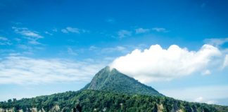 Java Mutfağı, Endonezya’nın en kalabalık adalarından biri olan Java Adası’nda doğmuş ve yüzyıllar boyunca farklı kültürlerin etkisiyle şekillenmiş zengin bir gastronomi kültürüdür. Tarih boyunca bu ada, ticaret yolları üzerinde yer alması sebebiyle Çin, Arap, Hint ve hatta Avrupa mutfaklarından çeşitli unsurlar almıştır. Bu çeşitlilik, Java Mutfağı’nı hem özgün hem de kozmopolit bir mutfak haline getirmiştir. Özellikle baharatların geniş ölçüde kullanılması, yemeklerin derin ve katmanlı tatlara sahip olmasını sağlamıştır. Konulu bir haber görseli.