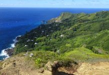 Pitcairn Adaları Mutfağı, Güney Pasifik’in en küçük yerleşim yerlerinden biri olan Pitcairn Adaları’nın geleneksel beslenme alışkanlıklarını ve kültürel mirasını yansıtır. Ada halkı, yüzyıllardır deniz ürünleri, tropikal meyveler ve kök sebzelerle kendine özgü tarifler geliştirmiştir. Hindistancevizi, taro, balık ve muz, Pitcairn mutfağının temel ögeleri arasında yer alır. Konulu bir haber görseli.