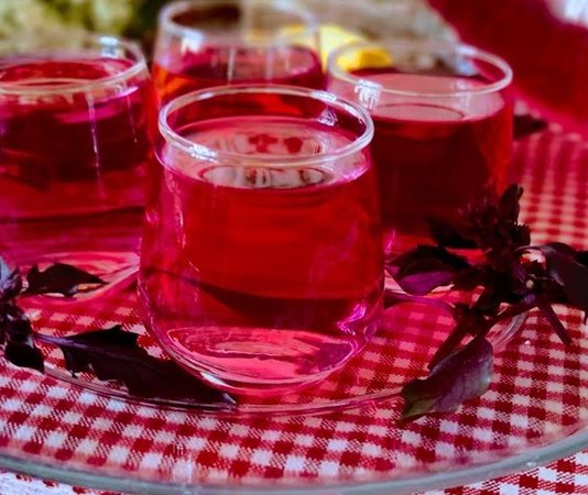 Şerbet ve kompostolar, özellikle yaz aylarında sofralarda hem ferahlık hem de tatlı bir lezzet sunan geleneksel içecekler arasında yer alır. Yüzyıllardır Anadolu’dan Balkanlara, Orta Doğu’dan Akdeniz’e kadar uzanan geniş coğrafyada sofraların vazgeçilmezidir. Şerbetler; meyve, çiçek ve baharatların su, şeker ve bazen de sirkeyle birleşmesiyle hazırlanırken, kompostolar ise taze veya kuru meyvelerin suda kaynatılmasıyla elde edilir. Bu içecekler, hafif tatlı yapıları ve doğal aromalarıyla damaklarda kalıcı bir iz bırakır. Konulu bir haber görseli.