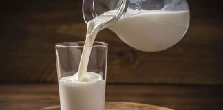 Süt, yüksek besin değerine sahip bir içecektir. İçeriğinde protein, kalsiyum, vitaminler ve mineraller bulunur.