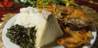 Tonga mutfağı, Pasifik Okyanusu’nun ortasında yer alan bu ada ülkesinin zengin kültürel yapısını yansıtan özel bir gastronomi dünyası sunar. Tarih boyunca hem coğrafi konum hem de ada halkının yaşam biçimi, Tonga mutfağının şekillenmesinde önemli bir rol oynamıştır. Tropikal iklim, bol deniz ürünleri, taro, muz, hindistancevizi gibi yerel ürünler mutfağın temel taşlarını oluşturur. Ayrıca toplumsal yaşamda yemeklerin paylaşılması, aile bağlarının güçlenmesine katkı sağlar. Bu nedenle Tonga mutfağı yalnızca damak tadı değil, aynı zamanda bir kültürel miras olarak da değerlendirilir. Konulu bir haber görseli.