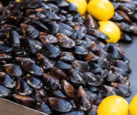 Midye dolma, taze midyelerin pirinç, soğan, baharat ve bazen etle doldurularak hazırlanan geleneksel bir deniz ürünü yemeğidir. Özellikle Karadeniz ve Ege mutfağında sıkça rastlanan bu lezzet, hem sokak lezzeti hem de ev yemeği olarak tüketilmektedir. Midyenin doğal tuzluluğu ve dolgun iç harcı, yemeğe kendine has bir aroma katar. Konulu bir haber görseli.