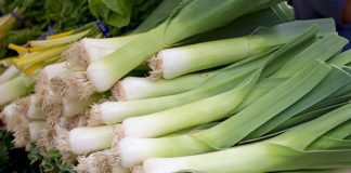 Pırasa, hem lezzeti hem de sağlığa faydaları ile mutfaklarımızda önemli bir yere sahiptir. Tarih boyunca Akdeniz ve Anadolu mutfağında sıkça kullanılan pırasa, vitamin ve mineral bakımından oldukça zengindir. İçerdiği A, C ve K vitaminleri sayesinde bağışıklığı güçlendirirken, potasyum ve demir mineralleri ile vücuda enerji sağlar. Konulu bir haber görseli.