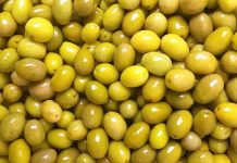 Yeşil zeytin, Akdeniz mutfağının en bilinen tatlarından biri olarak sofralarda önemli bir yere sahiptir. Kahvaltıdan salatalara, mezelerden ana yemeklere kadar geniş bir kullanım alanı sunar. Özellikle ferah aroması ve hafif tuzlu yapısı sayesinde her yaştan insanın severek tükettiği bir besindir. Aynı zamanda içerdiği sağlıklı yağlar ve vitaminler sayesinde dengeli bir beslenme için de idealdir. Konulu bir haber görseli.