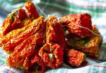 Anadolu’nun köklü mutfak kültürü içinde önemli bir yere sahip olan kurutmalık asma, hem tarımsal üretimin hem de geleneksel beslenme alışkanlıklarının ayrılmaz bir parçasıdır. Asma yaprakları ve üzüm dallarıyla özdeşleşen bu kavram, özellikle yaz aylarında başlayan yoğun bir hazırlık sürecini ifade eder. Kurutmalık asma, sadece bir bitkiyi değil; sabrı, emeği ve mevsim döngüsüne uyumlu yaşamı temsil eder. Konulu bir haber görseli.