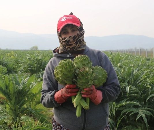Doğallığın İzinde Topraktan Tabağa Yolculuğu Günümüzde gıda tüketimi yalnızca karın doyurmaya yönelik bir alışkanlık olmaktan çıkarak bilinçli bir tercihe dönüşüyor. Bu dönüşümün merkezinde yer alan Topraktan Tabağa anlayışı, gıdanın üretim sürecinden tüketim anına kadar geçen yolculuğunu görünür kılıyor. Tüketiciler artık yalnızca ne yediklerini değil, yedikleri ürünlerin nereden geldiğini, nasıl üretildiğini ve hangi aşamalardan geçtiğini de bilmek istiyor. Konulu bir haber görseli.