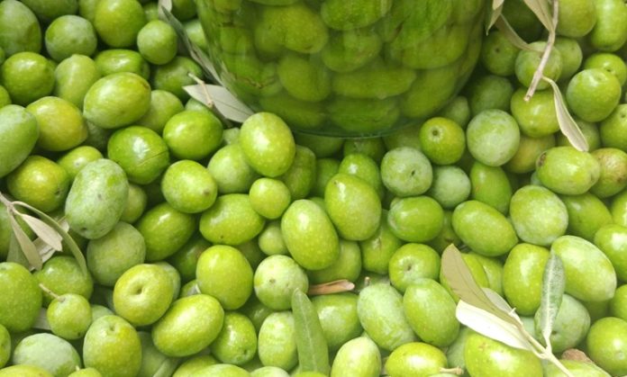 Akdeniz ve Ege coğrafyasının mutfak kültüründe özel bir yere sahip olan zeytin kırma, yalnızca bir hazırlık yöntemi değil, aynı zamanda köklü bir yaşam alışkanlığıdır. Zeytin ağaçlarının meyvesi olan zeytinin sofraya ulaşmadan önce geçirdiği bu süreç, sabır ve deneyim gerektirir. Zeytin kırma, doğrudan tüketilemeyen zeytinin geleneksel yöntemlerle yenilebilir hâle getirilmesini sağlar. Konulu bir haber görseli.