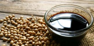 Soya, günümüz dünyasında hem gıda hem de sanayi alanında stratejik bir konuma sahip olan en önemli tarım ürünlerinden biri olarak öne çıkıyor. Yüksek protein içeriği, çok yönlü kullanım alanı ve küresel ticaretteki payıyla dikkat çeken Soya, yalnızca bir baklagil değil; aynı zamanda modern beslenme ve endüstriyel üretimin temel taşlarından biri olarak kabul ediliyor. Hayvan yeminden bitkisel yağlara, et alternatiflerinden biyoyakıta kadar uzanan geniş bir kullanım yelpazesi, soyanın değerini her geçen gün daha da artırıyor. Konulu bir haber görseli.