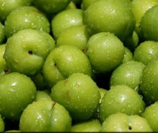 Erik, bahar aylarının sonu ve yazın başlangıcıyla birlikte pazarlarda kendini göstermeye başlayan, ekşi ile tatlı arasındaki dengesiyle öne çıkan özel bir meyve olarak dikkat çekiyor. Özellikle mevsimin ilk ürünleri arasında yer alan erik, tazeliği ve ferahlatıcı tadıyla sofralarda farklı bir heyecan yaratıyor. Türkiye’de geniş bir üretim alanına sahip olan erik, hem geleneksel tüketim alışkanlıklarında hem de modern beslenme anlayışında önemli bir yer tutuyor. Konulu bir haber görseli.