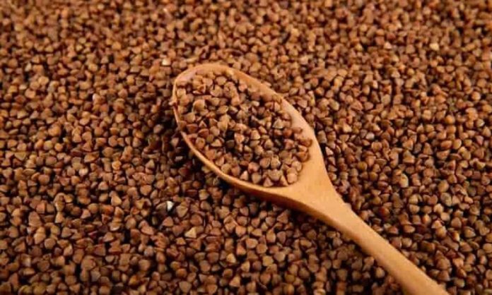 Son yıllarda beslenme alışkanlıklarında yaşanan dönüşüm, geleneksel ürünlerin yeniden keşfedilmesini sağladı. Bu ürünlerin başında gelen karabuğday tüketimi, özellikle sağlıklı yaşam ve dengeli beslenme arayışında olan bireylerin dikkatini çekiyor. Tahıl olarak bilinse de aslında farklı bir bitki grubuna ait olan karabuğday, doğal yapısı ve kullanım çeşitliliğiyle mutfaklarda giderek daha fazla yer buluyor. Konulu bir haber görseli.