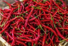 Kırmızı biber, mutfak kültürünün en dikkat çekici ve en yaygın kullanılan ürünlerinden biri olarak hem rengi hem de aromasıyla öne çıkar. Tatlıdan acıya uzanan geniş lezzet skalası sayesinde kırmızı biber, farklı damak zevklerine hitap edebilen nadir gıda ürünleri arasında yer alır. Dünya mutfaklarında önemli bir yere sahip olan bu ürün, sadece yemeklere tat katmakla kalmaz, aynı zamanda görsel açıdan da sofralara canlılık kazandırır. Konulu bir haber görseli.