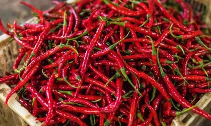 Kırmızı Biberin Sofralardaki Renkli Yolculuğu Kırmızı biber, mutfak kültürünün en dikkat çekici ve en yaygın kullanılan ürünlerinden biri olarak hem rengi hem de aromasıyla öne çıkar. Tatlıdan acıya uzanan geniş lezzet skalası sayesinde kırmızı biber, farklı damak zevklerine hitap edebilen nadir gıda ürünleri arasında yer alır. Dünya mutfaklarında önemli bir yere sahip olan bu ürün, sadece yemeklere tat katmakla kalmaz, aynı zamanda görsel açıdan da sofralara canlılık kazandırır. Konulu bir haber görseli.