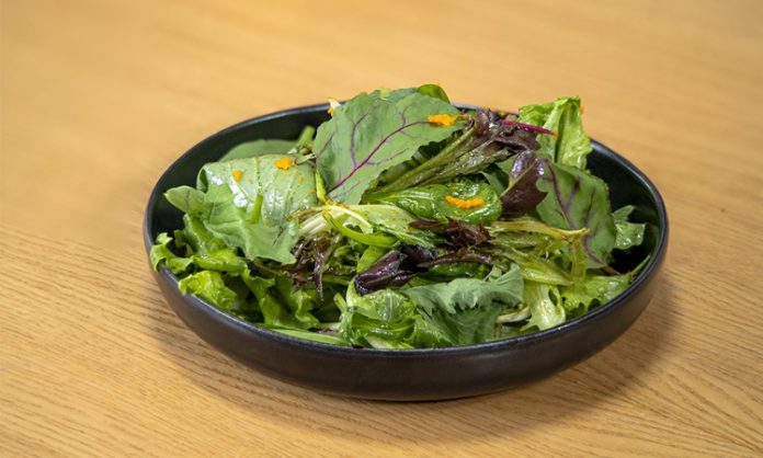 Salata Malzemeleriyle Hafif Ve Dengeli Beslenmenin Yükselişi Günümüzde beslenme alışkanlıklarının değişmesiyle birlikte daha hafif, pratik ve doğal öğünlere yönelim dikkat çekiyor. Bu dönüşümün merkezinde ise salata malzemeleri yer alıyor. Artık salata, yalnızca yemeklerin yanında sunulan basit bir tabak olmaktan çıkıp başlı başına bir öğün olarak değerlendiriliyor. Farklı malzemelerin bir araya gelmesiyle hazırlanan salatalar, hem doyurucu hem de besleyici özellikleriyle öne çıkıyor. Konulu bir haber görseli.