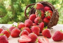 Sıcak havaların kendini hissettirmesiyle birlikte beslenme alışkanlıkları da değişmeye başlıyor. Kışın daha ağır ve sıcak yemeklere yönelen tüketiciler, yaz aylarında ferahlatıcı ve hafif gıdaları tercih ediyor. Bu dönemde öne çıkan ürünlerin başında ise yaz meyveleri geliyor. Renkli görünümleri, doğal aromaları ve serinletici etkileriyle yaz meyveleri, hem mutfaklarda hem de günlük atıştırmalıklarda önemli bir yer tutuyor. Konulu bir haber görseli.